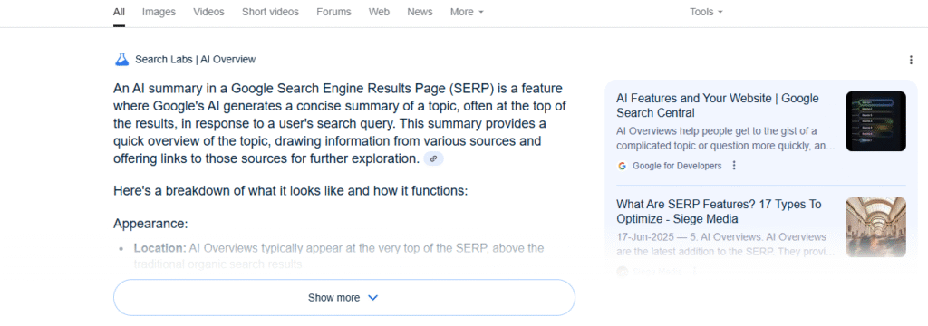 Screenshot or diagram of AI summary in SERP